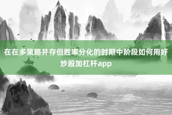 在在多策略并存但胜率分化的时期中阶段如何用好炒股加杠杆app